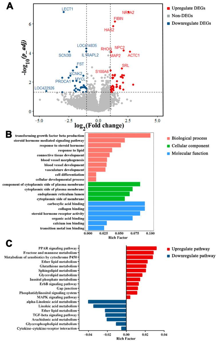https://cdn.ncbi.nlm.nih.gov/pmc/blobs/6c12/8944860/0938016de127/animals-12-00713-g007.jpg