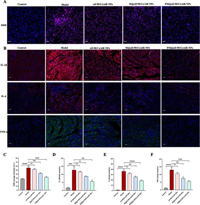 https://cdn.ncbi.nlm.nih.gov/pmc/blobs/6c13/11715444/0e3b812c1580/12951_2024_3083_Fig8_HTML.jpg