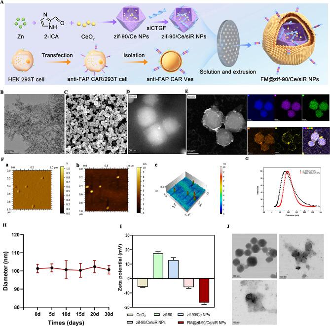 https://cdn.ncbi.nlm.nih.gov/pmc/blobs/6c13/11715444/188fed423e05/12951_2024_3083_Fig1_HTML.jpg
