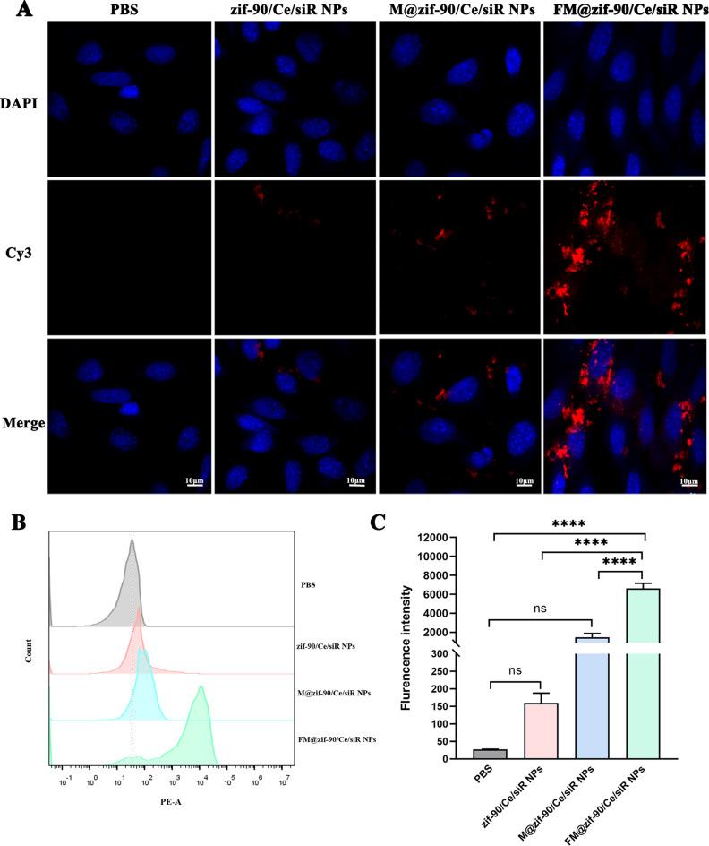 https://cdn.ncbi.nlm.nih.gov/pmc/blobs/6c13/11715444/5cebffc10a73/12951_2024_3083_Fig3_HTML.jpg