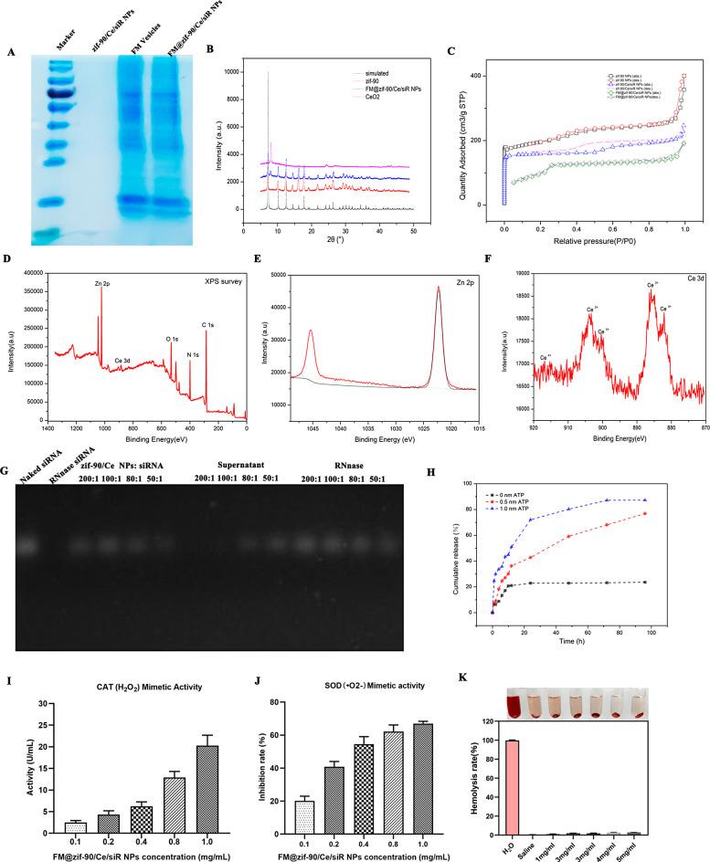https://cdn.ncbi.nlm.nih.gov/pmc/blobs/6c13/11715444/7182157eb374/12951_2024_3083_Fig2_HTML.jpg
