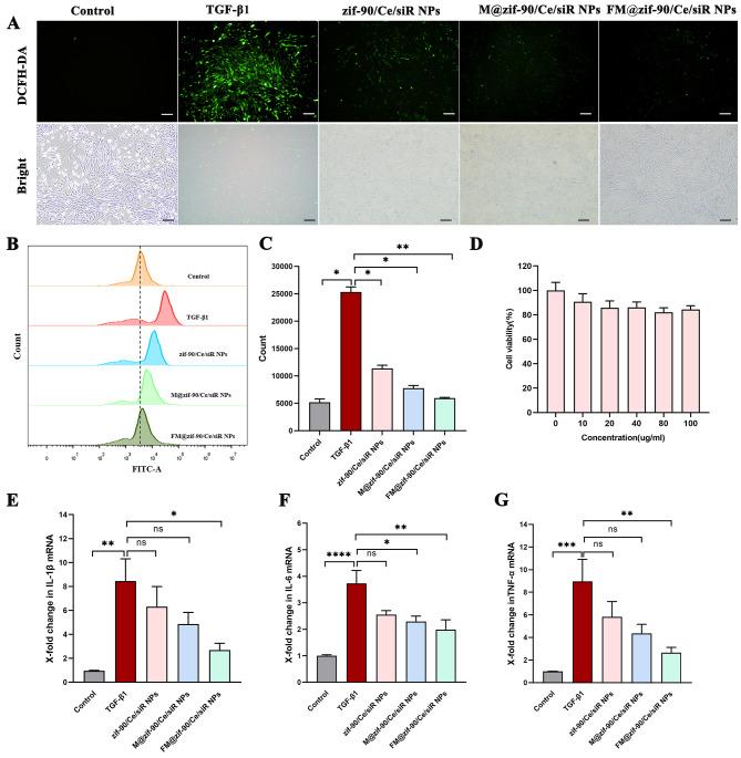 https://cdn.ncbi.nlm.nih.gov/pmc/blobs/6c13/11715444/9054375d95b7/12951_2024_3083_Fig4_HTML.jpg