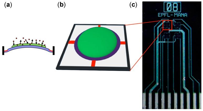 https://cdn.ncbi.nlm.nih.gov/pmc/blobs/6c13/5982686/26dc3c18ce25/sensors-18-01640-g001.jpg