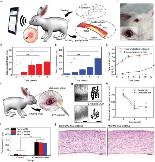 https://cdn.ncbi.nlm.nih.gov/pmc/blobs/6c17/9534953/15b9b742089f/ADVS-9-2203597-g003.jpg