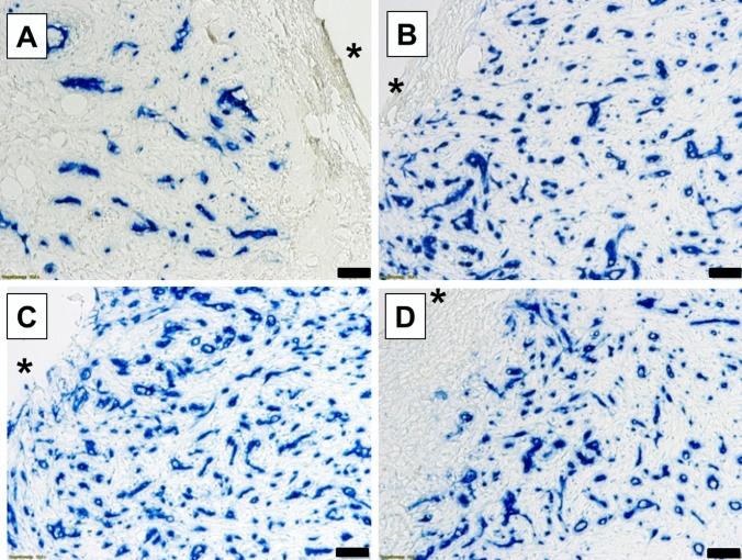 https://cdn.ncbi.nlm.nih.gov/pmc/blobs/6c18/9360131/9ab803626d14/68_2021_1844_Fig3_HTML.jpg