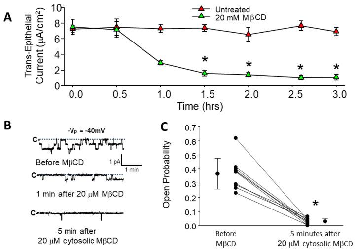 https://cdn.ncbi.nlm.nih.gov/pmc/blobs/6c18/9774185/79ba57f88e16/biology-11-01694-g005.jpg