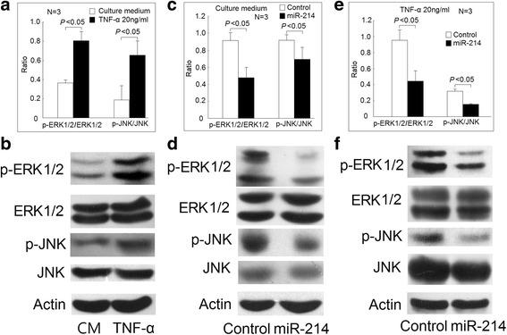 https://cdn.ncbi.nlm.nih.gov/pmc/blobs/6c19/5709919/6561f0d35d30/13075_2017_1465_Fig5_HTML.jpg