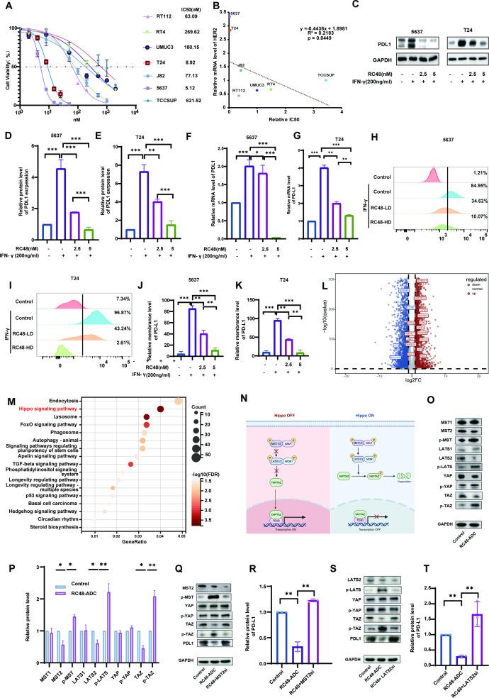 https://cdn.ncbi.nlm.nih.gov/pmc/blobs/6c1a/12352158/063cac3ce6b7/jitc-13-8-g003.jpg