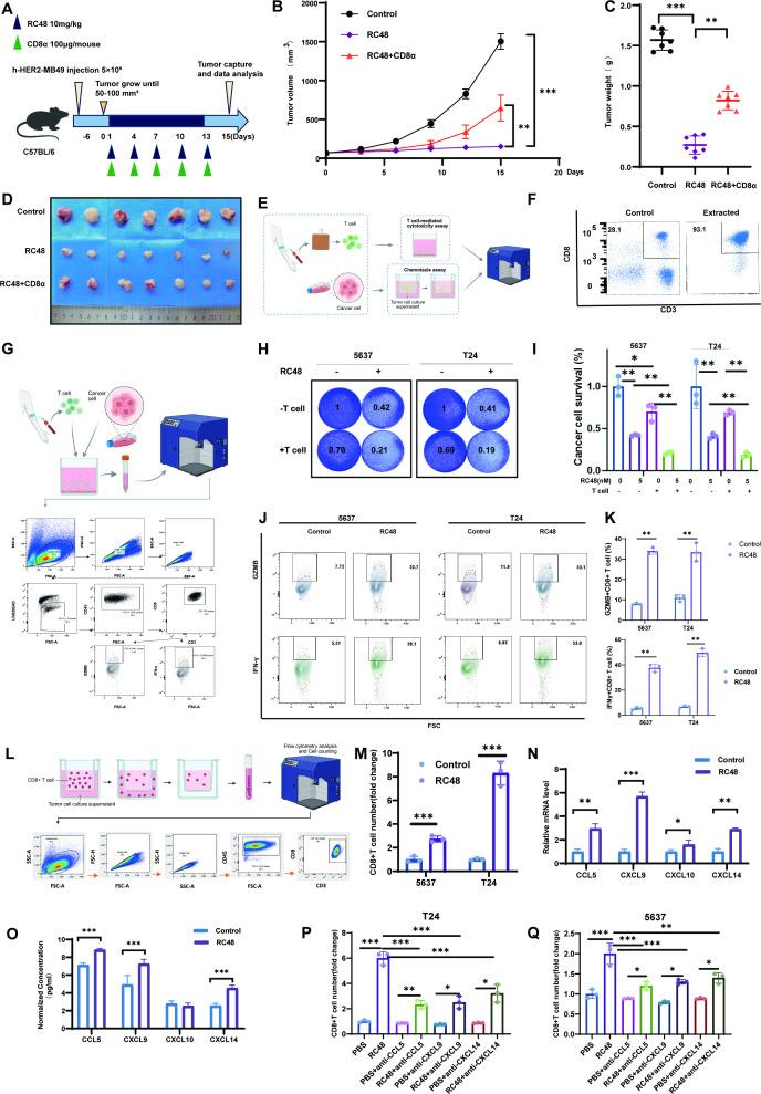 https://cdn.ncbi.nlm.nih.gov/pmc/blobs/6c1a/12352158/826946637db5/jitc-13-8-g006.jpg