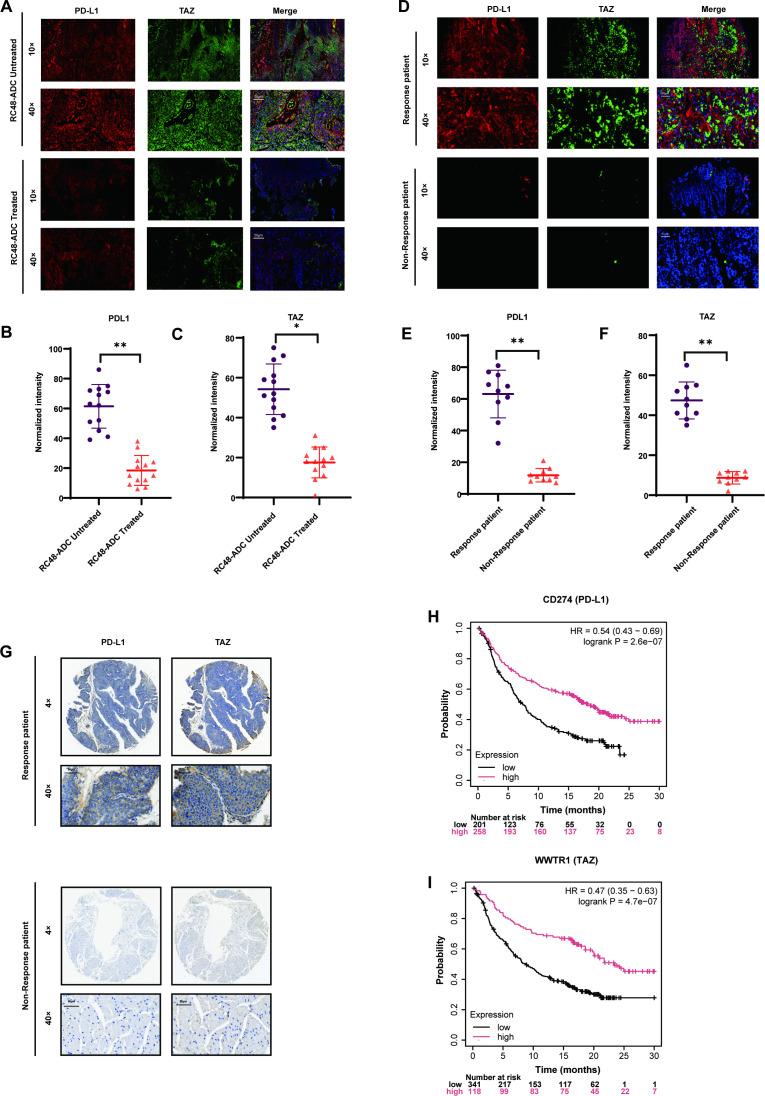 https://cdn.ncbi.nlm.nih.gov/pmc/blobs/6c1a/12352158/a14a75e05a3d/jitc-13-8-g005.jpg