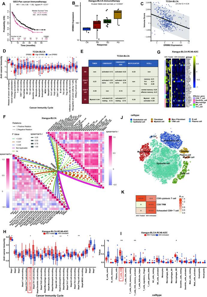 https://cdn.ncbi.nlm.nih.gov/pmc/blobs/6c1a/12352158/b8945c9e9185/jitc-13-8-g001.jpg