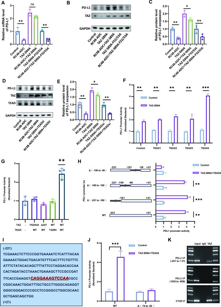 https://cdn.ncbi.nlm.nih.gov/pmc/blobs/6c1a/12352158/c83b0c7845aa/jitc-13-8-g004.jpg