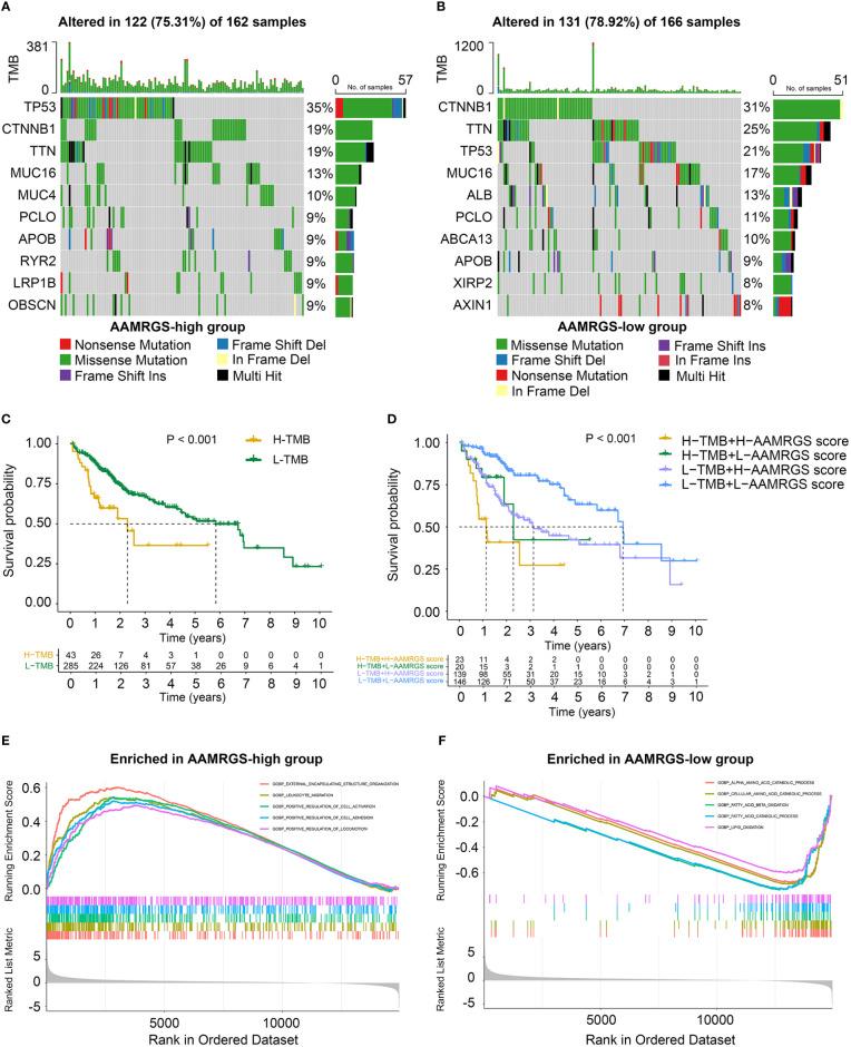 https://cdn.ncbi.nlm.nih.gov/pmc/blobs/6c1d/9792509/cc9feb80cf0b/fimmu-13-1066773-g005.jpg