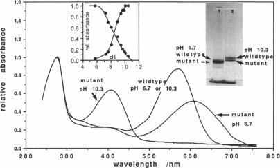 https://cdn.ncbi.nlm.nih.gov/pmc/blobs/6c1e/1225530/edce9bcfe7e6/biophysj00070-0322-a.jpg