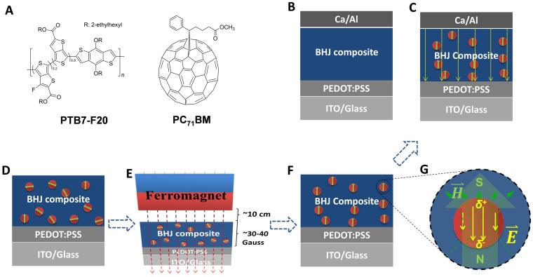 https://cdn.ncbi.nlm.nih.gov/pmc/blobs/6c1f/4363869/46996649a0cc/srep09265-f2.jpg