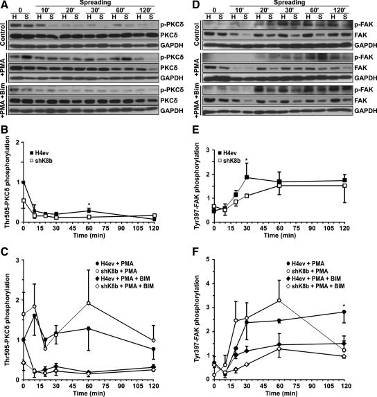 https://cdn.ncbi.nlm.nih.gov/pmc/blobs/6c21/2869376/3588646a6f48/zmk0101094500004.jpg