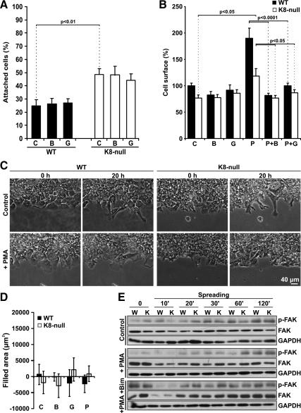 https://cdn.ncbi.nlm.nih.gov/pmc/blobs/6c21/2869376/8cce28791150/zmk0101094500008.jpg