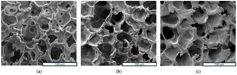 https://cdn.ncbi.nlm.nih.gov/pmc/blobs/6c22/11207696/03023c57d1c3/polymers-16-01672-g003a.jpg