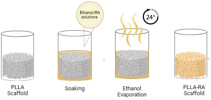 https://cdn.ncbi.nlm.nih.gov/pmc/blobs/6c22/11207696/3252f73ed236/polymers-16-01672-g001.jpg