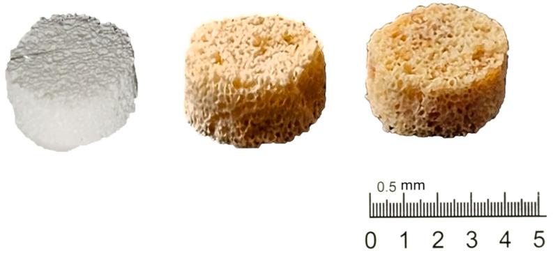 https://cdn.ncbi.nlm.nih.gov/pmc/blobs/6c22/11207696/54571f23018c/polymers-16-01672-g002.jpg
