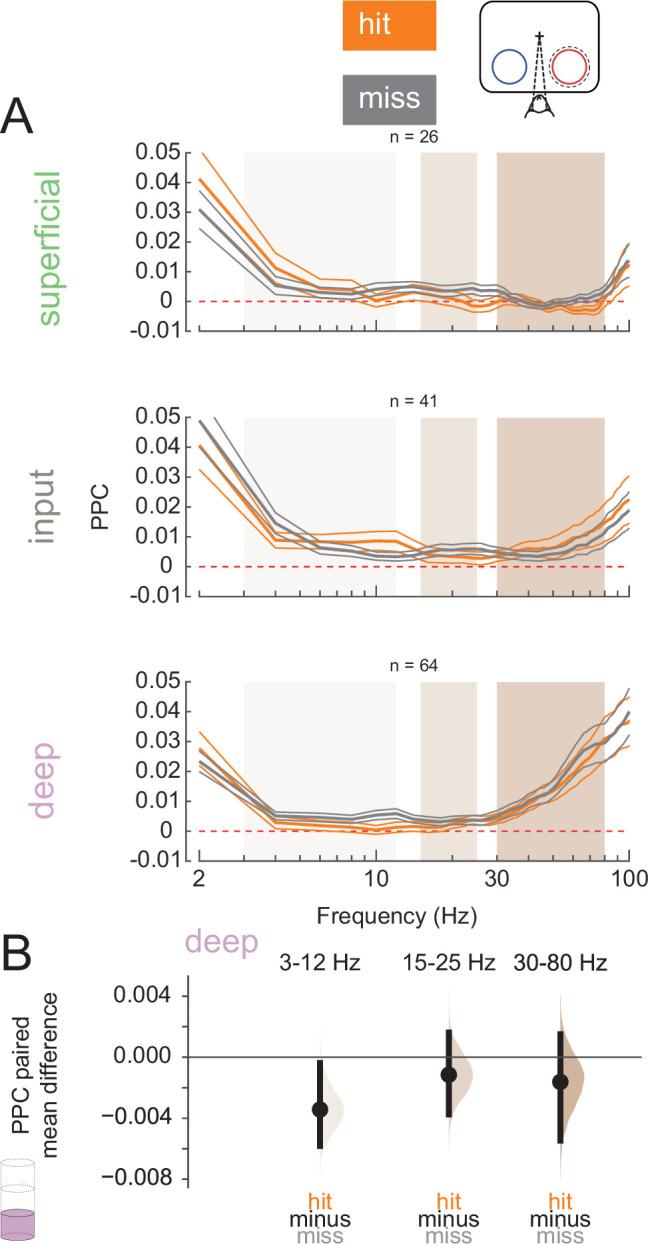 https://cdn.ncbi.nlm.nih.gov/pmc/blobs/6c22/11573349/1970285d026f/elife-91722-fig5.jpg