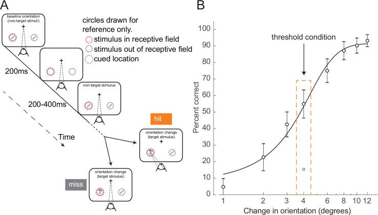 https://cdn.ncbi.nlm.nih.gov/pmc/blobs/6c22/11573349/7ec6d8287882/elife-91722-fig1.jpg