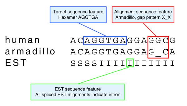 https://cdn.ncbi.nlm.nih.gov/pmc/blobs/6c27/2246271/4775bf762723/gb-2007-8-12-r269-5.jpg