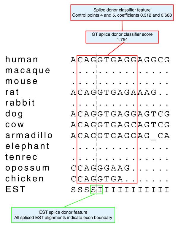https://cdn.ncbi.nlm.nih.gov/pmc/blobs/6c27/2246271/6a9292a2c054/gb-2007-8-12-r269-6.jpg