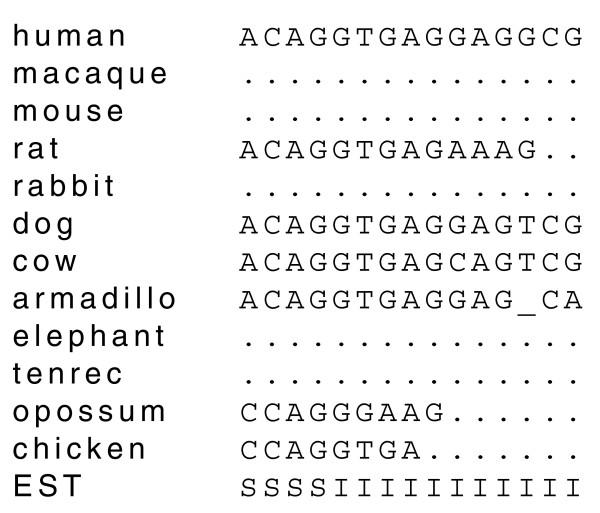 https://cdn.ncbi.nlm.nih.gov/pmc/blobs/6c27/2246271/d3058479e49b/gb-2007-8-12-r269-3.jpg