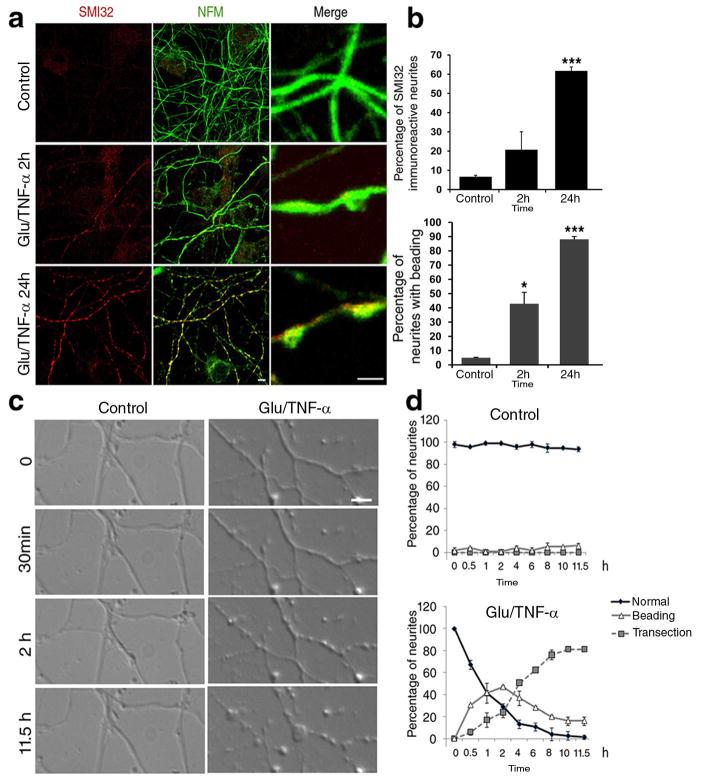 https://cdn.ncbi.nlm.nih.gov/pmc/blobs/6c27/2829989/4509238f386f/nihms165653f2.jpg