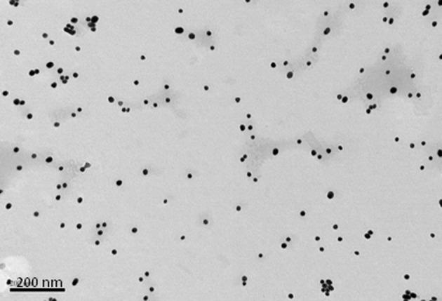 https://cdn.ncbi.nlm.nih.gov/pmc/blobs/6c28/3607064/d12609a65a0b/fcimb-03-00013-g0002.jpg