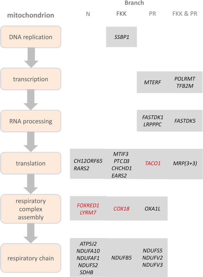 https://cdn.ncbi.nlm.nih.gov/pmc/blobs/6c28/5418189/95bcb541c0e8/ACEL-16-488-g003.jpg