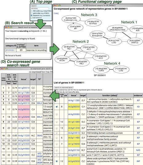https://cdn.ncbi.nlm.nih.gov/pmc/blobs/6c29/1781135/ad5ee114d7d1/gkl783f1.jpg