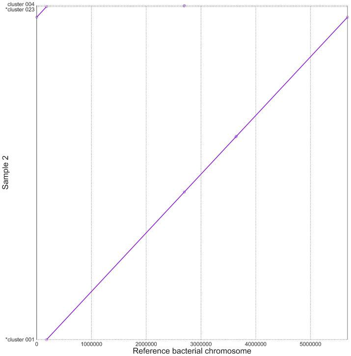 https://cdn.ncbi.nlm.nih.gov/pmc/blobs/6c2b/11831548/0e4819776afe/fmicb-16-1532788-g004.jpg