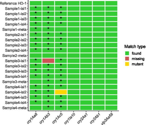 https://cdn.ncbi.nlm.nih.gov/pmc/blobs/6c2b/11831548/64c2f52c1312/fmicb-16-1532788-g003.jpg