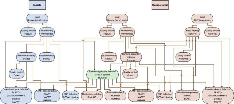 https://cdn.ncbi.nlm.nih.gov/pmc/blobs/6c2b/11831548/c2e4f2f703f8/fmicb-16-1532788-g002.jpg