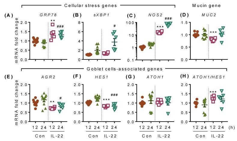 https://cdn.ncbi.nlm.nih.gov/pmc/blobs/6c2c/6678670/5c0d7a58bf75/ijms-20-03468-g005.jpg