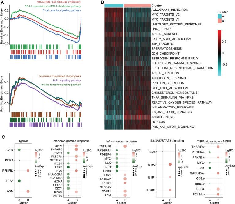 https://cdn.ncbi.nlm.nih.gov/pmc/blobs/6c2c/9732458/308db1a372e7/fimmu-13-1040286-g004.jpg