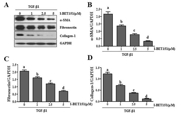 https://cdn.ncbi.nlm.nih.gov/pmc/blobs/6c2e/5342478/01bd5e6b0bb5/oncotarget-07-69291-g002.jpg