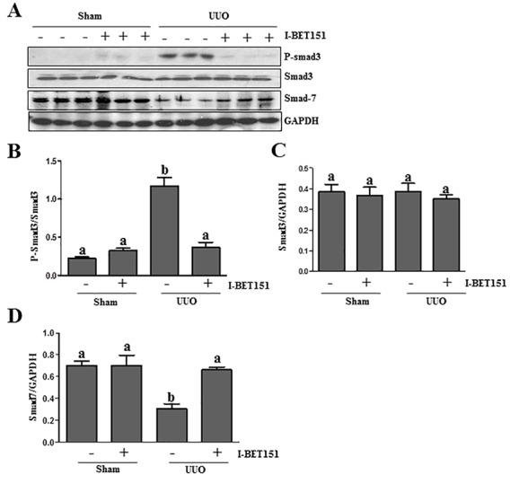 https://cdn.ncbi.nlm.nih.gov/pmc/blobs/6c2e/5342478/853ef079ffa2/oncotarget-07-69291-g006.jpg