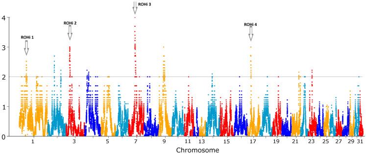 https://cdn.ncbi.nlm.nih.gov/pmc/blobs/6c2f/11720259/1c2777b2cf2d/ijms-26-00026-g002.jpg