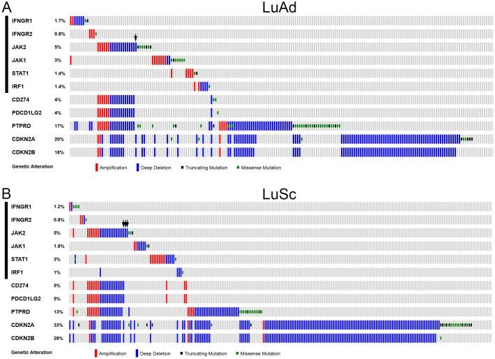 https://cdn.ncbi.nlm.nih.gov/pmc/blobs/6c2f/5617399/366e02f145b0/oncotarget-08-60975-g001.jpg