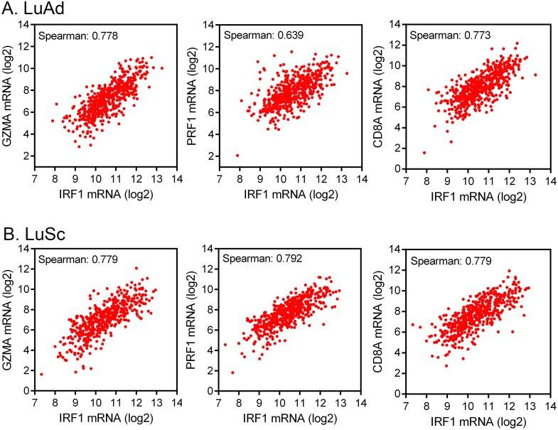 https://cdn.ncbi.nlm.nih.gov/pmc/blobs/6c2f/5617399/990ab3712bba/oncotarget-08-60975-g003.jpg