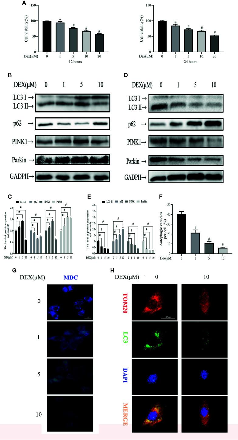 https://cdn.ncbi.nlm.nih.gov/pmc/blobs/6c30/7431688/c12231e0f37c/fphar-11-01209-g001.jpg