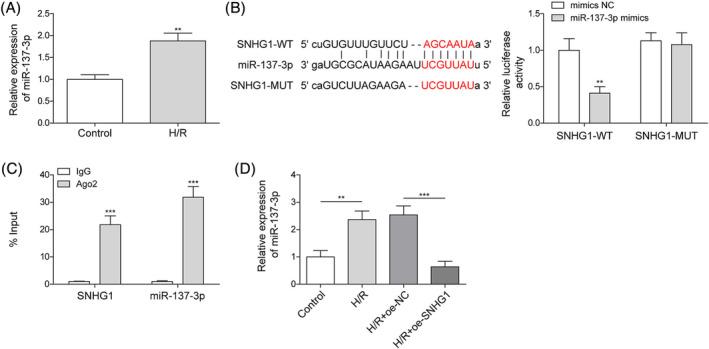 https://cdn.ncbi.nlm.nih.gov/pmc/blobs/6c31/10966264/9c48bfbda0ff/EHF2-11-1009-g006.jpg