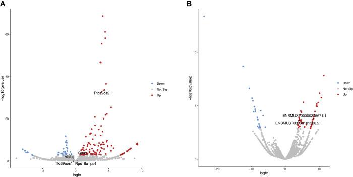 https://cdn.ncbi.nlm.nih.gov/pmc/blobs/6c32/10921354/0e32784ffe49/fimmu-15-1352306-g001.jpg