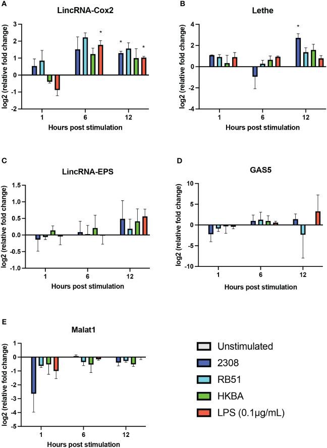 https://cdn.ncbi.nlm.nih.gov/pmc/blobs/6c32/10921354/efd49d6f3fe2/fimmu-15-1352306-g004.jpg