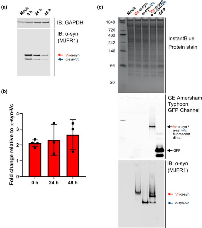 https://cdn.ncbi.nlm.nih.gov/pmc/blobs/6c32/8246987/5dc33604ec72/JNC-157-872-g002.jpg