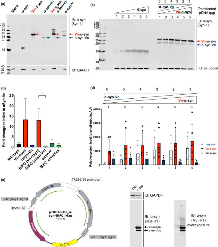 https://cdn.ncbi.nlm.nih.gov/pmc/blobs/6c32/8246987/cdddc4737315/JNC-157-872-g001.jpg