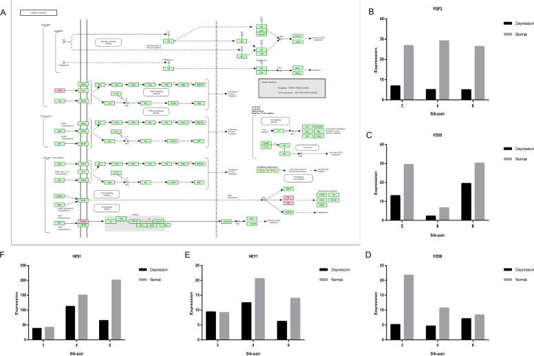 https://cdn.ncbi.nlm.nih.gov/pmc/blobs/6c32/8526709/4648289ded24/41398_2021_1665_Fig4_HTML.jpg